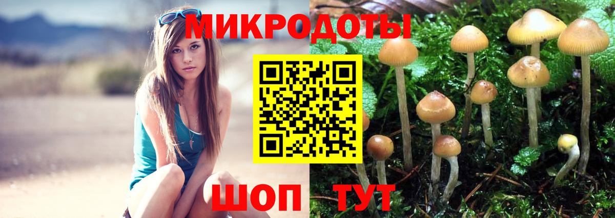 Галлюциногенные грибы ЛСД Лесозаводск